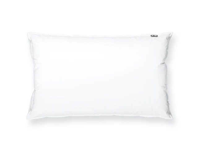 Le wopilo pour les pros - Image 15